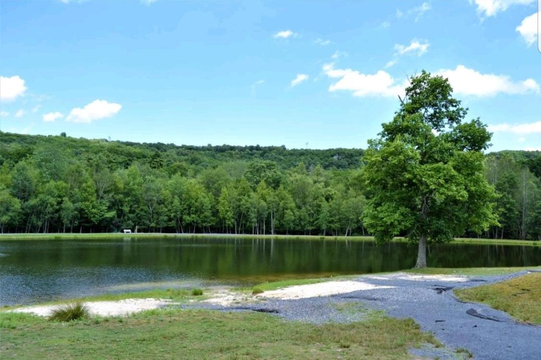 *Amenity-Filled Waterfront Oasis @Saw Creek Estates Near Waterfalls And Hiking* East Stroudsburg Exterior foto